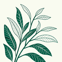 Flat vector Illustration of a foliage plant