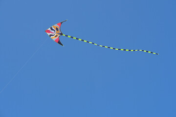 Colorful Kite Flying in Clear Blue Sky