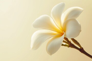 Naklejka premium A kitchen with wooden and blue accents