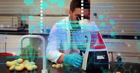 Examining scientist in lab coat peering through microscope at bench with potatoes, digital overlay