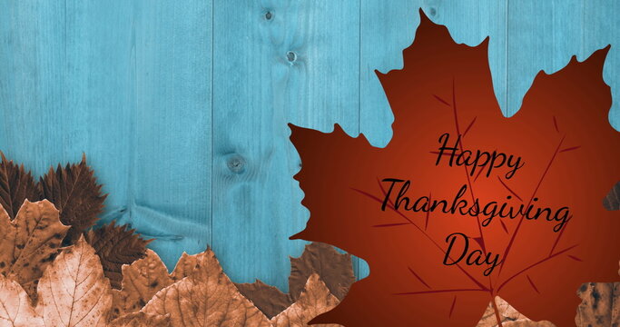 Fototapeta Displaying orange maple leaf bearing Happy Thanksgiving Day on teal planks, with brown leaf border