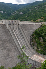 Obraz premium Dam vertical