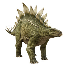Herbivorous Dinosaur Stegosaurus Rendered Isolated


