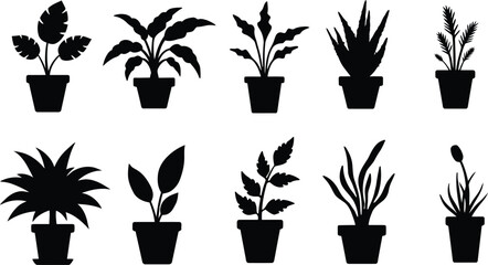 Minimalist Botanical Icons Houseplants in Pots Silhouette Set