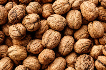 Pile of walnuts in their shells