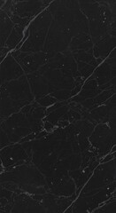 Black marble texture with gray veins. Elegant and sophisticated background.