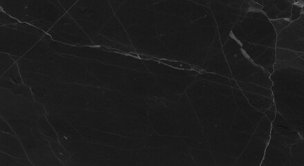 Elegant black marble, showcasing natural veining