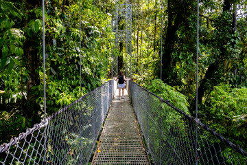 Tourist walking on hanging bridge in tropical rainforest. Costa rica, monteverde cloud forest reserve