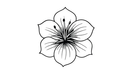 White lily blossom, a beautiful floral nature vector isolated on black or white, perfect for spring or summer design Hibiscus flower silhouette