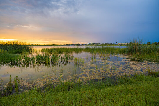 Sunset landscape in Wellen park in North Port, Florida. Beautiful lake nature in evening