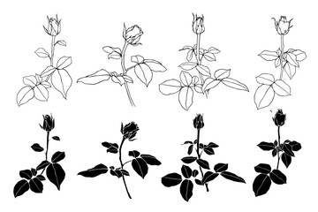 Sketch collection, silhouettes of rose flowers. Simple botanical elements. Vector graphics.