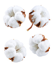 cotton