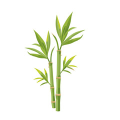 Obraz premium Outline of bamboo stalks with green leaves on white background, minimalistic design.