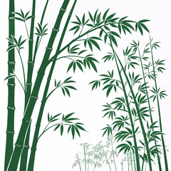 bamboo vector illustration