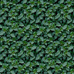 Fototapeta premium Floral seamless pattern with leaves.