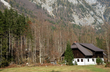 Cozy mountain chalet nestled in an autumn forest landscape. Julian alps Slovenia