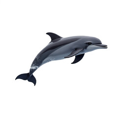 Dolphin swimming underwater marine life ocean animal aquatic mammal wildlife on transparent background