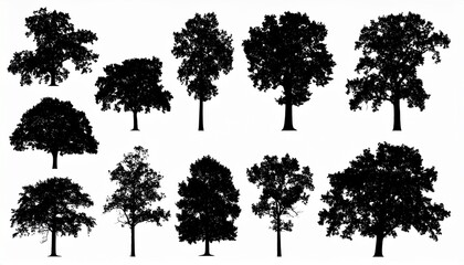 Oak tree set silhouette vector on white background