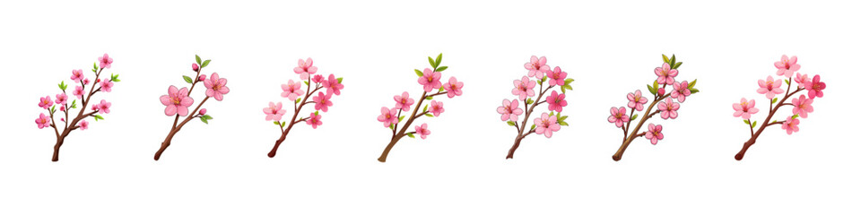 Obraz premium Cherry blossom branch or sakura flower. Sakura branch on white background. Cherry blossom flower blooming. Pink sakura flower on white background. Vector set
