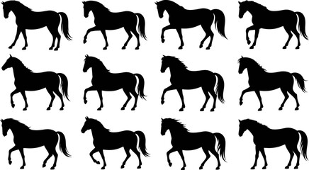 Twelve black horse silhouettes in various poses arranged in a rectangular grid formation on white