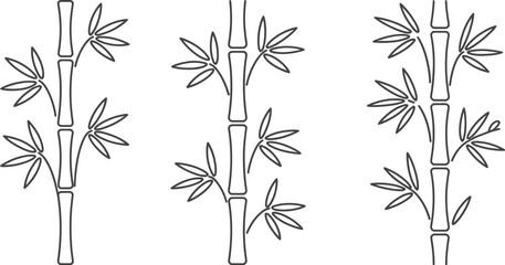 Obraz premium Three bamboo stalks with leaves in a line art style on a white background illustration
