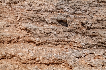 Calcareous reef rock and marine sediment (Pleistocene), Chiefly emerged coral reefs, Reefs consist of coral heads and coralline algae cemented by a lime matrix. Kaʻena Point Trail（North), Oahu Hawaii.