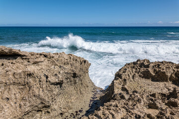 Calcareous reef rock and marine sediment (Pleistocene), Chiefly emerged coral reefs, Reefs consist of coral heads and coralline algae cemented by a lime matrix. Kaʻena Point Trail（North), Oahu Hawaii.