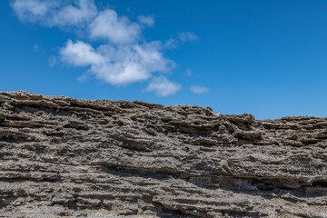Calcareous reef rock and marine sediment (Pleistocene), Chiefly emerged coral reefs, Reefs consist of coral heads and coralline algae cemented by a lime matrix. Kaʻena Point Trail（North), Oahu Hawaii.