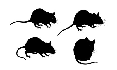 Set Bundle of Artistic Silhouette Illustrations Featuring Mice in Various Poses for Educational and Creative Applications