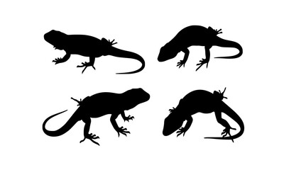 Set Bundle of Unique Silhouette Illustrations Featuring Lizards in Various Poses for Creative and Educational Applications