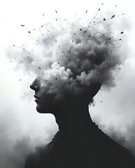 A Head Silhouette Filled with Swirling Fog or Blurry Scribbles, Surrounded by Faint Clouds or Static Lines, Suitable for Mental Fatigue or Confusion Topics
