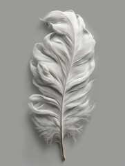 Minimalist Black and White Photo of a Single Soft Feather

