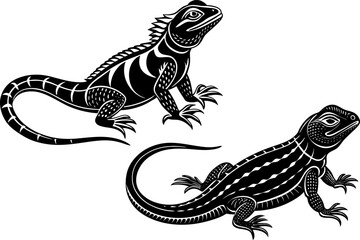 Chameleon Silhouette Set, A lizard in side view, isolated on a white background