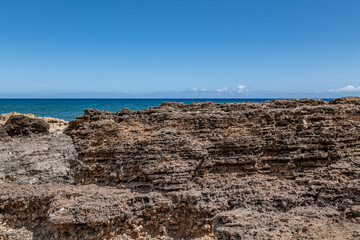 Calcareous reef rock and marine sediment (Pleistocene), Chiefly emerged coral reefs, Reefs consist of coral heads and coralline algae cemented by a lime matrix. Kaʻena Point Trail（North), Oahu Hawaii.