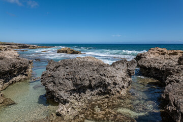 Calcareous reef rock and marine sediment (Pleistocene), Chiefly emerged coral reefs, Reefs consist of coral heads and coralline algae cemented by a lime matrix. Kaʻena Point Trail（North), Oahu Hawaii.