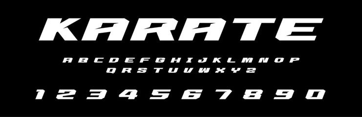Karate lettering vector graphic fight apparel clothing prints eps svg png. Typography Fonts graphics designs posters stickers. Download it Now in high resolution format and print it in any size