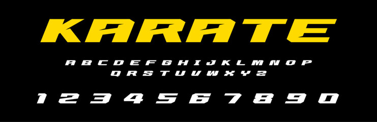 Karate lettering vector graphic fight apparel clothing prints eps svg png. Typography Fonts graphics designs posters stickers. Download it Now in high resolution format and print it in any size