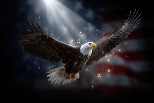 Soaring symbol: American Eagle Day honors majestic bird on June 20th, representing strength, freedom, unity beneath USA flag, celebrating heritage, pride, resilience, national identity through wings