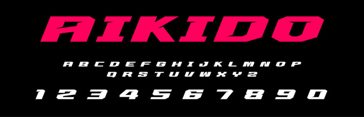 Aikido lettering vector graphic fight apparel clothing prints eps svg png. Typography Fonts graphics designs posters stickers. Download it Now in high resolution format and print it in any size
