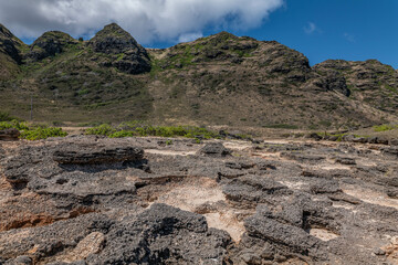 Calcareous reef rock and marine sediment (Pleistocene), Chiefly emerged coral reefs, Reefs consist of coral heads and coralline algae cemented by a lime matrix. Kaʻena Point Trail（North), Oahu Hawaii.