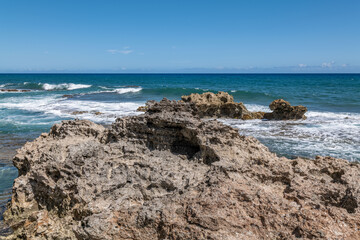 Calcareous reef rock and marine sediment (Pleistocene), Chiefly emerged coral reefs, Reefs consist of coral heads and coralline algae cemented by a lime matrix. Kaʻena Point Trail（North), Oahu Hawaii.