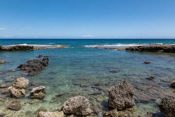 Calcareous reef rock and marine sediment (Pleistocene), Chiefly emerged coral reefs, Reefs consist of coral heads and coralline algae cemented by a lime matrix. Kaʻena Point Trail（North), Oahu Hawaii.