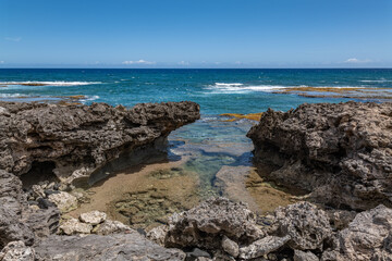Calcareous reef rock and marine sediment (Pleistocene), Chiefly emerged coral reefs, Reefs consist of coral heads and coralline algae cemented by a lime matrix. Kaʻena Point Trail（North), Oahu Hawaii.