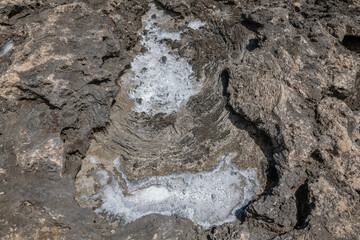 Calcareous reef rock and marine sediment (Pleistocene), Chiefly emerged coral reefs. Kaʻena Point...