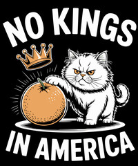 Funny No Kings In America funny political cat meme
