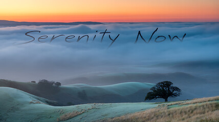 Serenity Now: A Misty Sunrise Over Rolling Hills