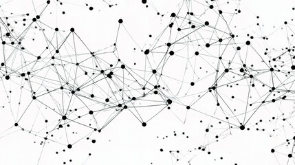 Abstract Black Lines Forming Geometric Network on White Background