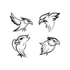 Angry hawk and eagle bird designs