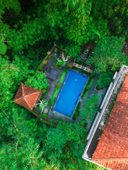 Vibrant tropical oasis in Bali showcasing a sparkling pool nestled among rich foliage.