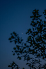 A night view with a bright moon
